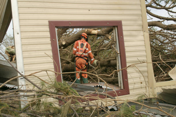 Best Commercial Tree Services  in South Sioux City, NE